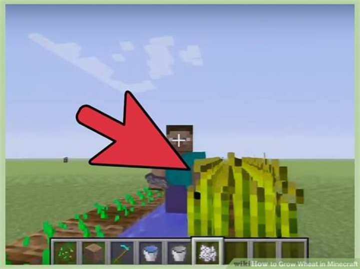 How to grow wheat in minecraft