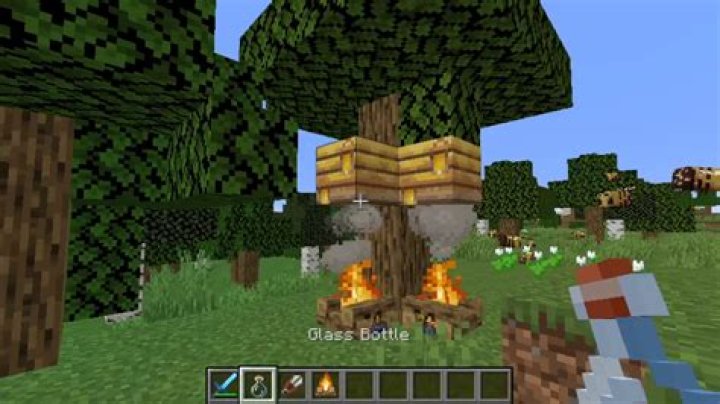 How to harvest bees minecraft
