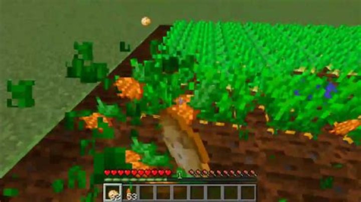 How to harvest carrots in minecraft