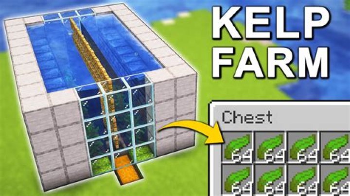 How to harvest kelp minecraft