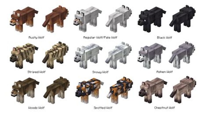 How to herd animals in minecraft