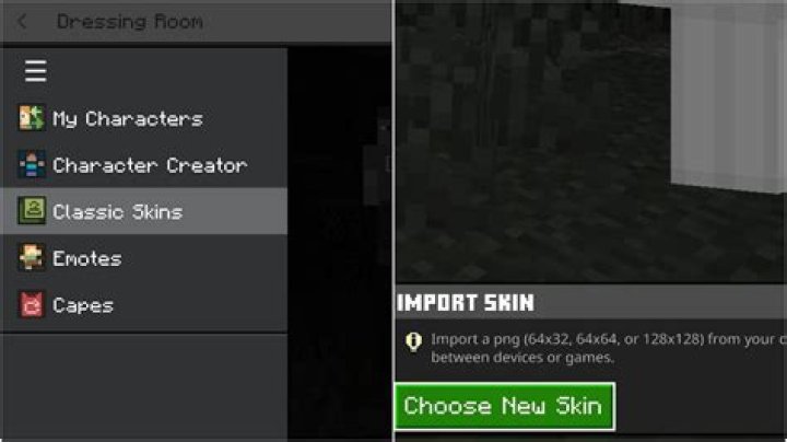 How to import minecraft skins