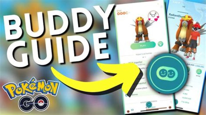 How to increase your buddy level in pokemon go