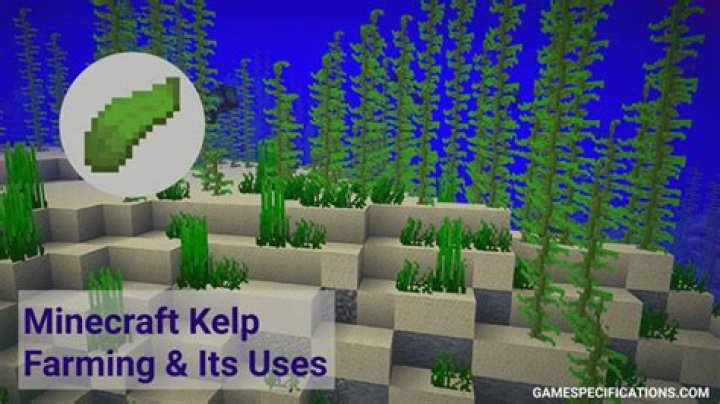 How to keep fish from despawning in minecraft