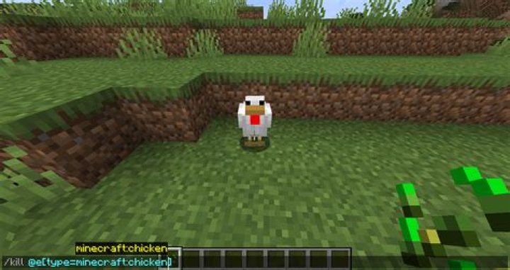 How to kick someone in minecraft