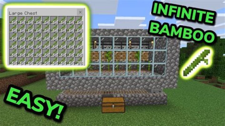 How to make a bamboo farm in minecraft