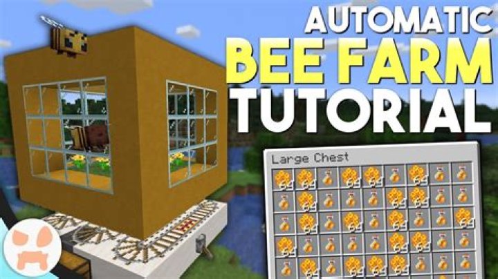How to make a bee farm in minecraft
