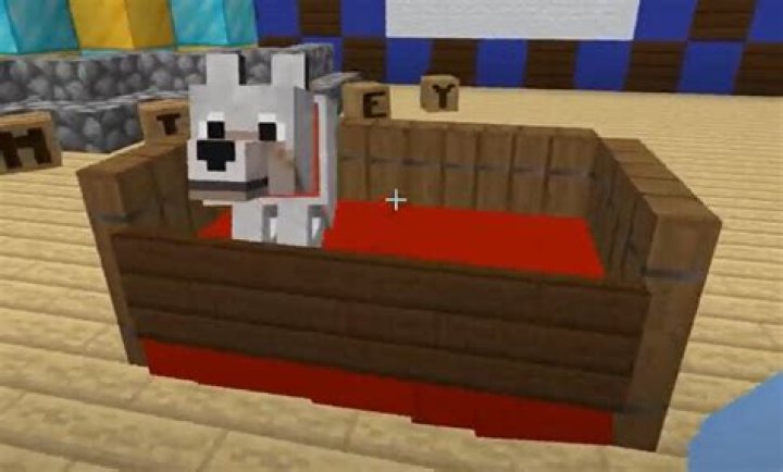 How to make a dog bed in minecraft