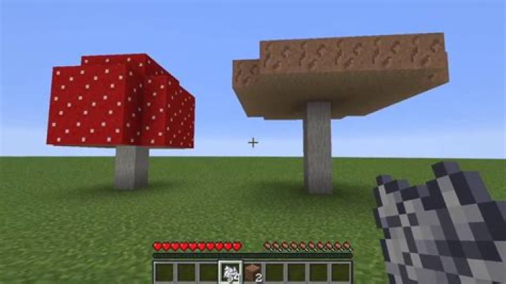 How to make a giant mushroom in minecraft