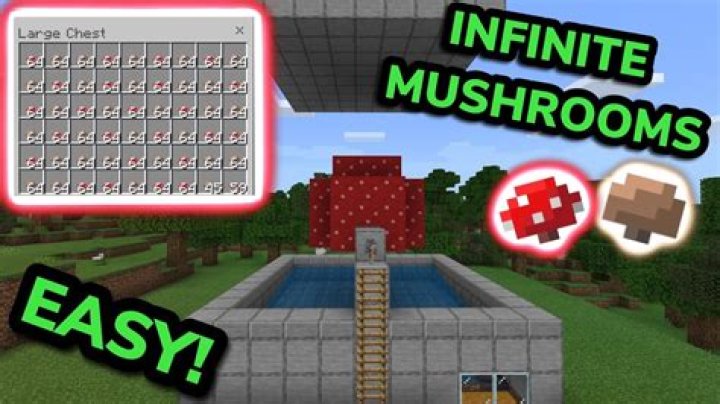How to make a mushroom farm in minecraft