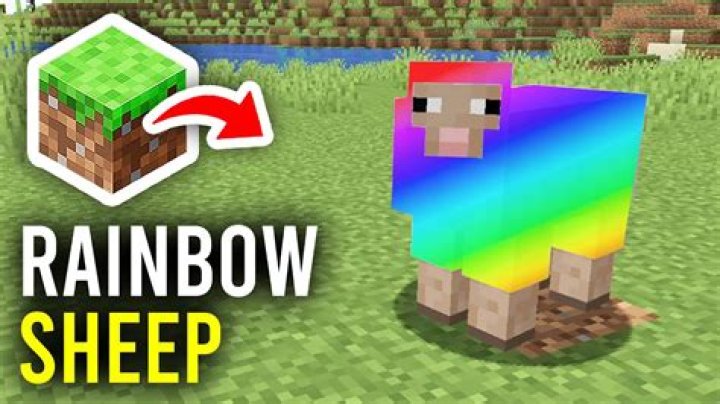 How to make a rainbow sheep in minecraft