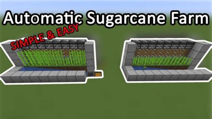How to make a sugarcane farm in minecraft
