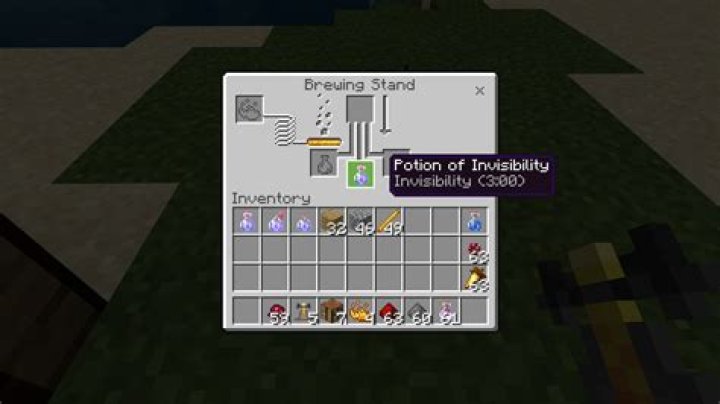 How to make an invisibility potion in minecraft
