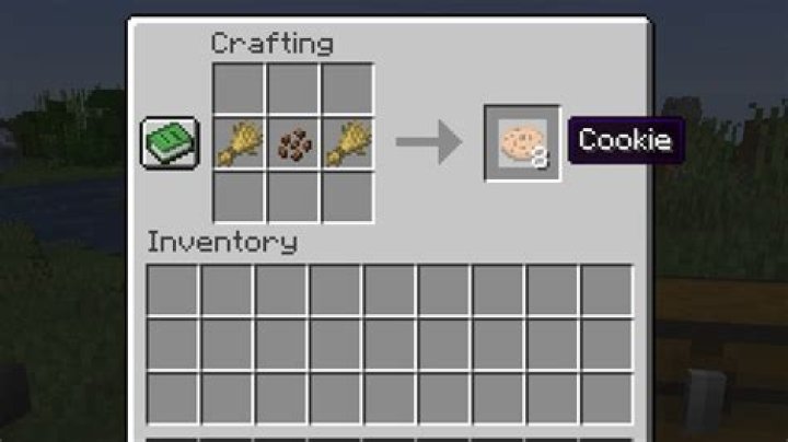 How to make cookie minecraft