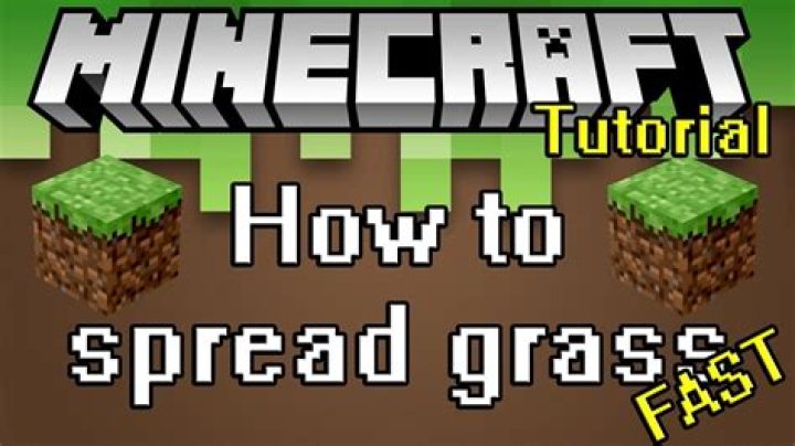 How to make grass grow on dirt minecraft