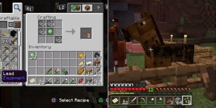 How to make lasso minecraft