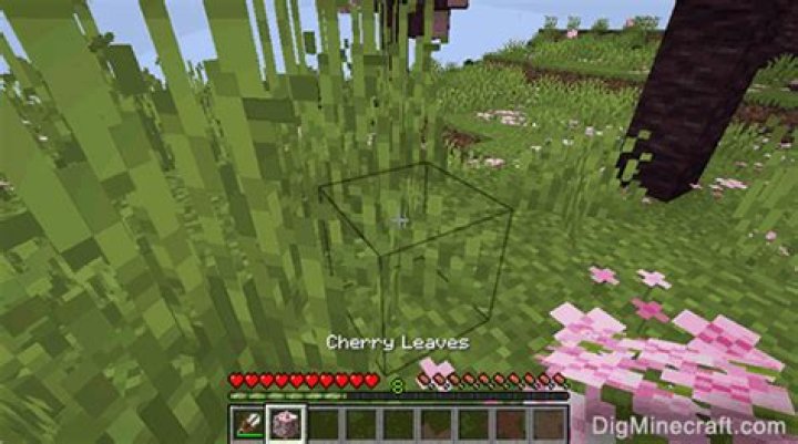 How to make leaves in minecraft