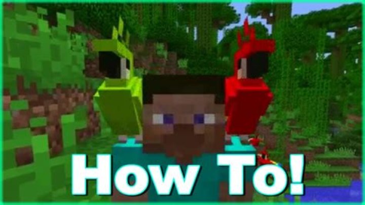 How to make parrot sit on shoulder minecraft