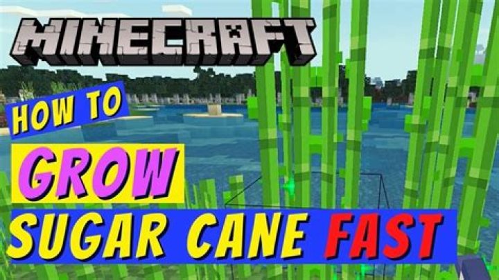 How to make sugarcane grow faster in minecraft