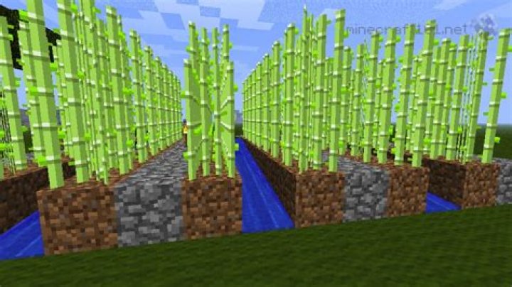 How to make sugarcane in minecraft