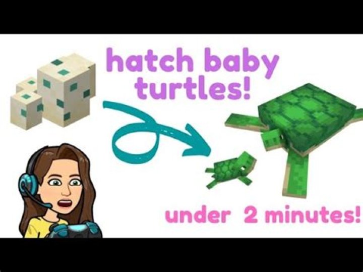 How to make turtle eggs hatch in minecraft