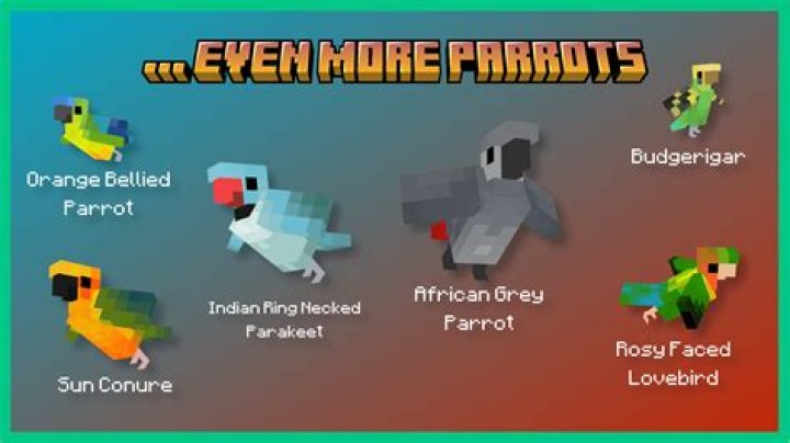 How to mate parrots in minecraft