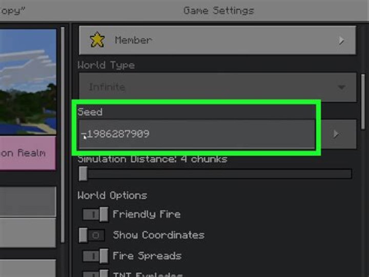 How to minecraft seed