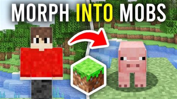 How to morph in minecraft