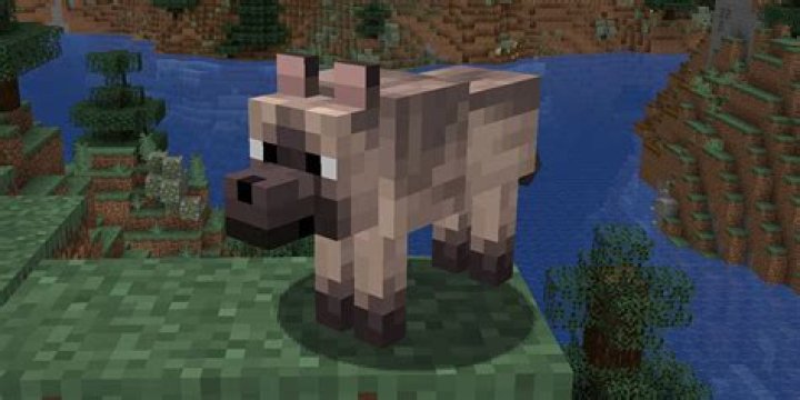 How to name a wolf in minecraft pe