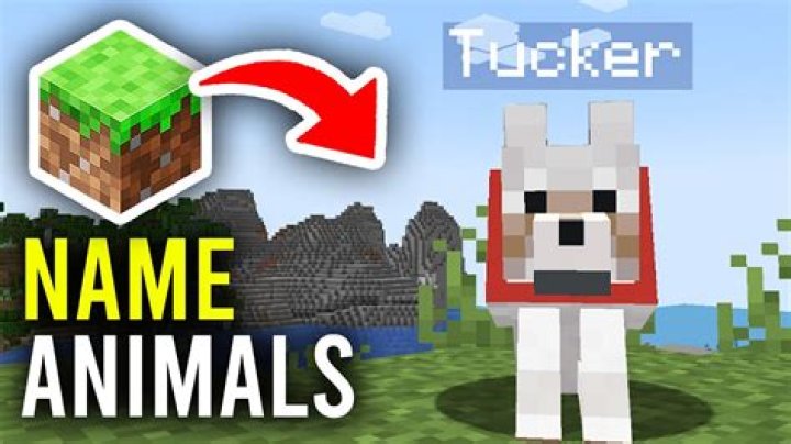 How to name animals in minecraft
