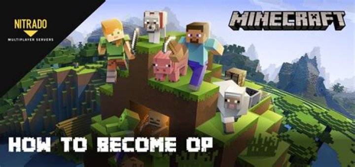 How to op someone in minecraft