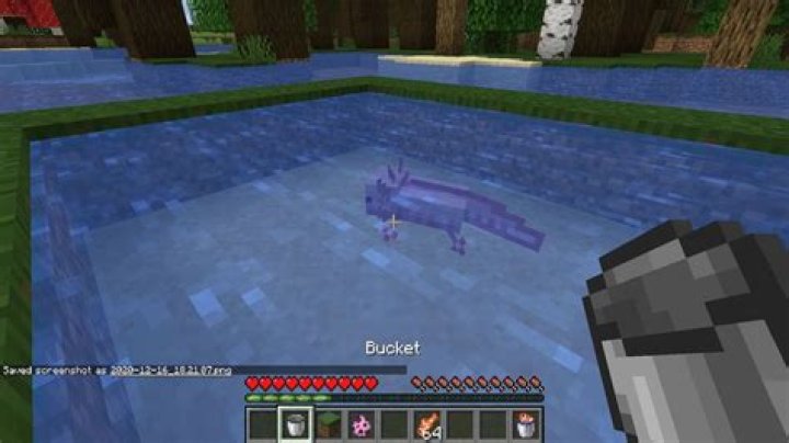 How to pick up axolotl minecraft
