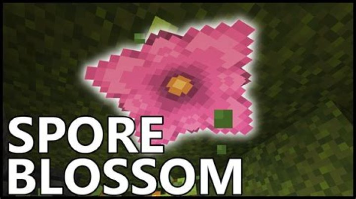 How to place spore blossom minecraft