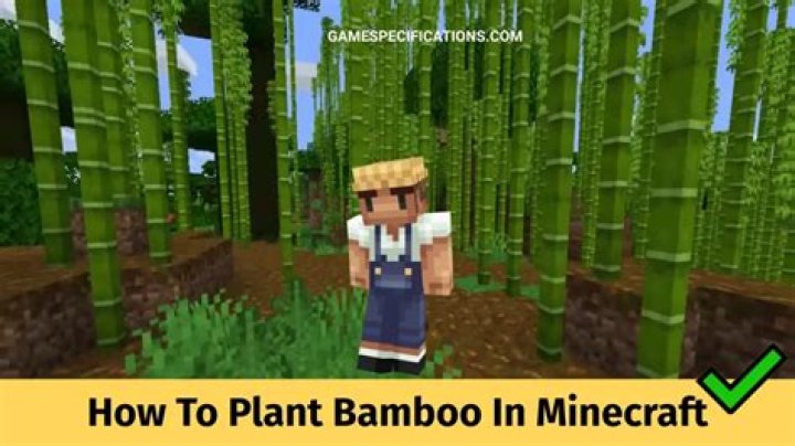 How to plant bamboo in minecraft