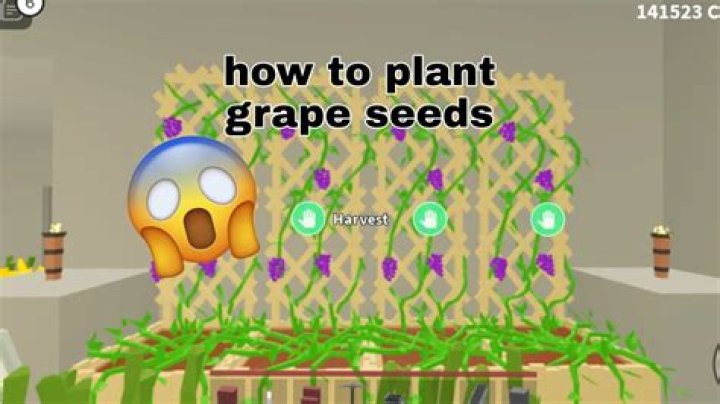 How to plant grapes in islands roblox