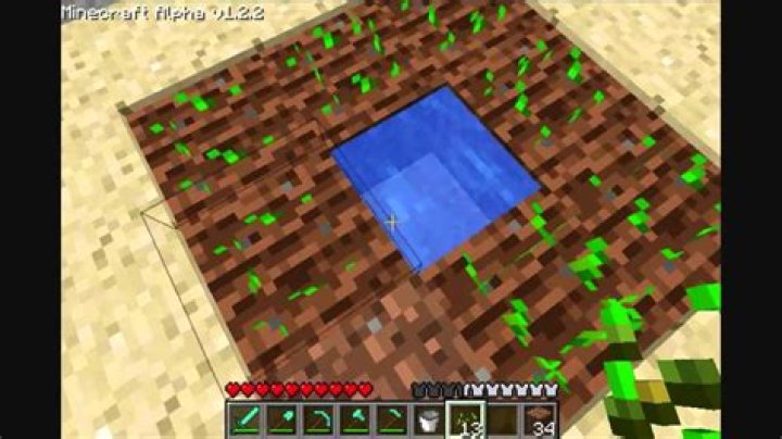 How to plant in minecraft