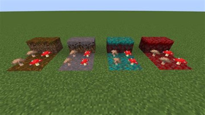 How to plant mushrooms minecraft