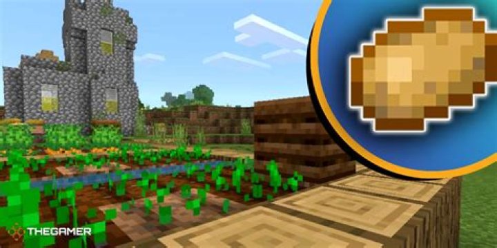 How to plant potatoes minecraft