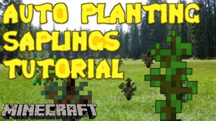 How to plant saplings in minecraft