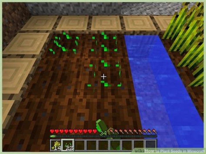 How to plant seeds minecraft