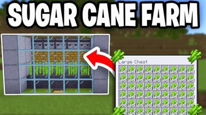 How to plant sugarcane minecraft
