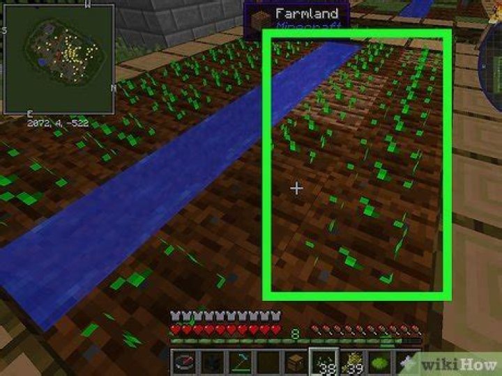 How to plant wheat minecraft