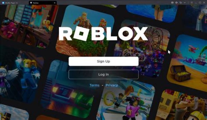 How to play roblox on computer controls