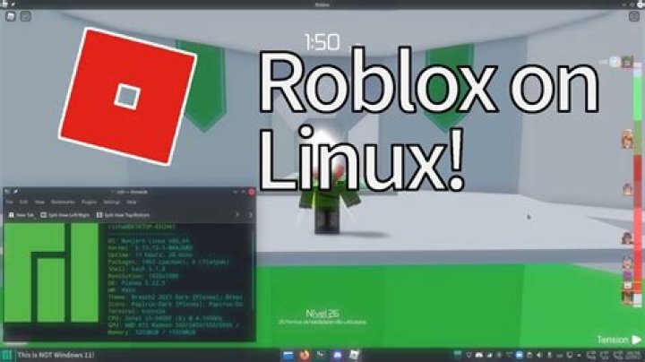 How to play roblox on linux