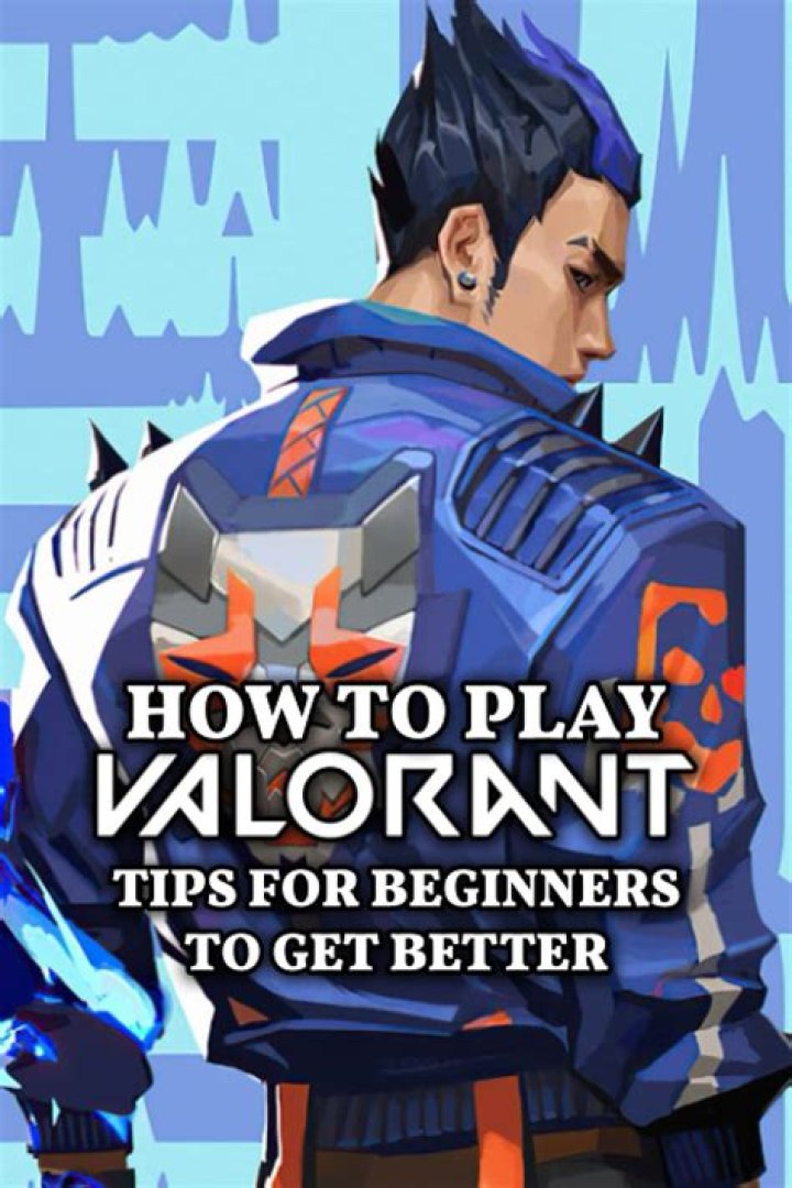 How to play valorant meme