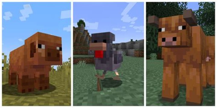 How to pm on minecraft