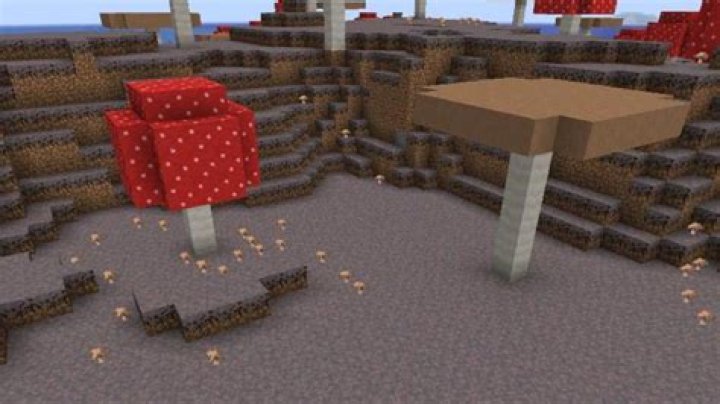 How to put down a mushroom in minecraft