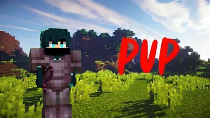 How to pvp in minecraft like a pro
