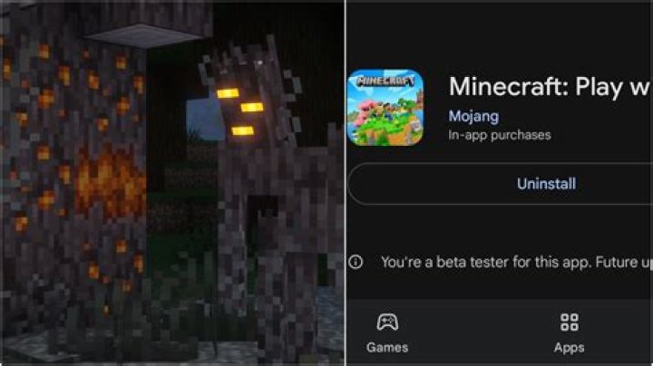 How to remove minecraft