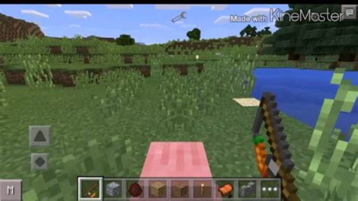 How to ride a pig in minecraft pe